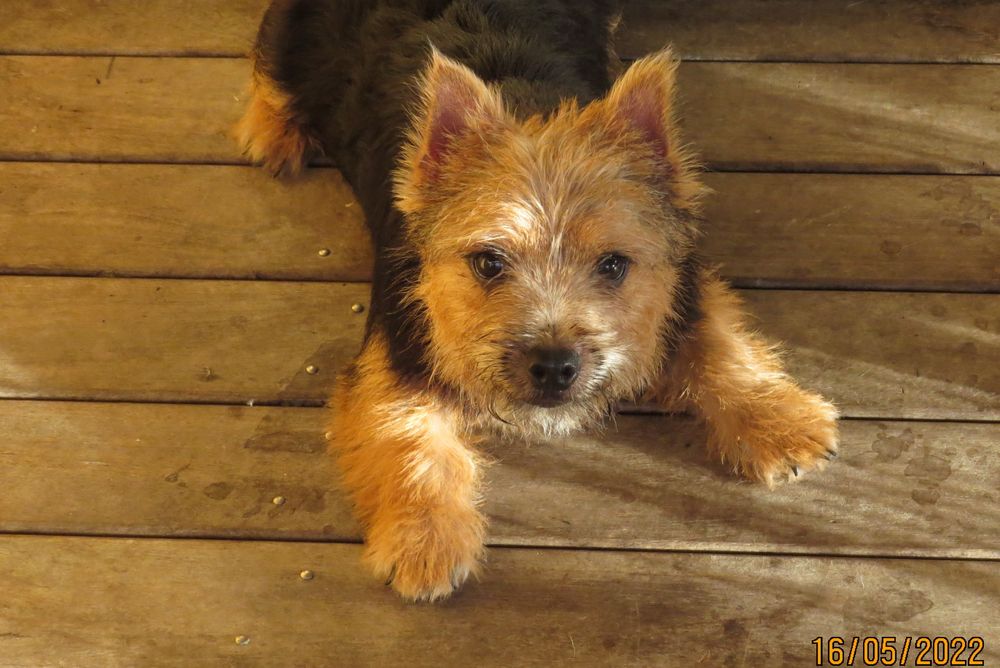 Darius at 5 mths