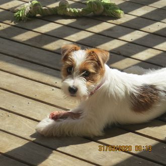 Casmara-JR Clonakilty aka 'Kilty'