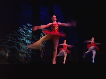 Heather, Illinois Ballet David Hoffman and I played as THE NEURONS with the Illinois Ballet. We were blown away at the artistic dedication they showed us. I took this during a performance.
