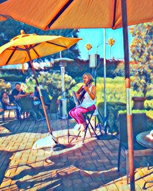 Bossa Nova with Téka at Jane in Goleta every Tuesday from 6:00 to 8:00 PM. 6940 Market Place Drive, Goleta, CA 93117