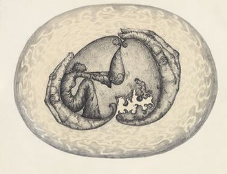 Drawing from "Ballad for Brad" CD