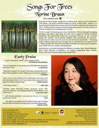 Songs For Trees One Sheet