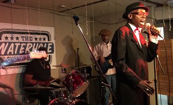 waterhole Larry open_mouth3_Horiz1 Larry wails at the Water hole during his 60th birthday show, December 2016