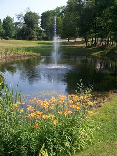 Pond in summer with central fountain, blooming lilies in foreground, green trees at distance