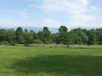 Beautiful Vista of the Catskill Mountains 3 of 14 Calming and Serene Grounds of the Kaatsbaan International Dance Center