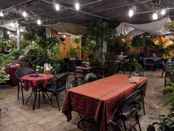 One of the most beautifully quaint and unique venues on the planet, owned and operated by the nicest and kindest souls and their staff. It is both a fully featured nursery as well as a 5 star restaurant: Origins Cafe. On this day I was very fortunate to be performing with Michael Benedict on mallets and Evan Jagels on upright bass 4 of 11