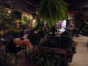 One of the most beautifully quaint and unique venues on the planet, owned and operated by the nicest and kindest souls and their staff. It is both a fully featured nursery as well as a 5 star restaurant: Origins Cafe. On this day I was very fortunate to be performing with Michael Benedict on mallets and Evan Jagels on upright bass 7 of 11