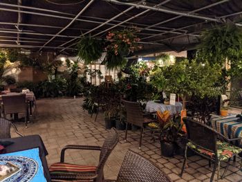 One of the most beautifully quaint and unique venues on the planet, owned and operated by the nicest and kindest souls and their staff. It is both a fully featured nursery as well as a 5 star restaurant: Origins Cafe. On this day I was very fortunate to be performing with Michael Benedict on mallets and Evan Jagels on upright bass 11 of 11