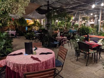 One of the most beautifully quaint and unique venues on the planet, owned and operated by the nicest and kindest souls and their staff. It is both a fully featured nursery as well as a 5 star restaurant: Origins Cafe. On this day I was very fortunate to be performing with Michael Benedict on mallets and Evan Jagels on upright bass 9 of 11