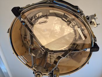 View from the bottom looking up through A zikit insert installed inside of my Odery Birch Snare Drum with Tigerwood Outer Ply