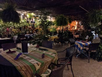 One of the most beautifully quaint and unique venues on the planet, owned and operated by the nicest and kindest souls and their staff. It is both a fully featured nursery as well as a 5 star restaurant: Origins Cafe. On this day I was very fortunate to be performing with Michael Benedict on mallets and Evan Jagels on upright bass 10 of 11