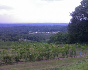 Stage views - wow how they vary (3 of 4) Winery - I absolutely love Wine - Whites and Blushes thank you. (know just enough to be dangerous) Beautiful Hudson Valley