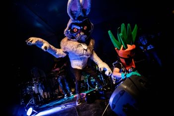 Radioactive_Chicken_Heads_titmouse_smashparty11_tylerhagen_0050 Radioactive Chicken Heads at Titmouse Smash Party 2018. Photo by Tyler Hagen