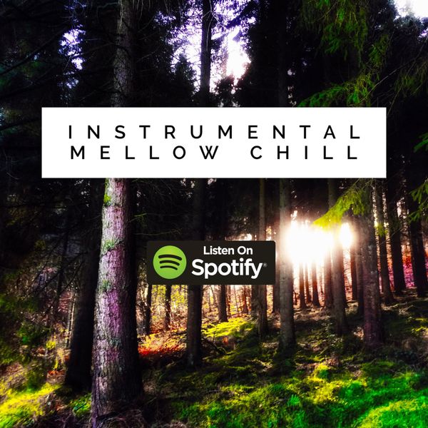 Instrumental Mellow Chill - New Whalebone Spotify Playlist