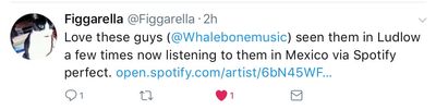 Mexico Whalebone on Spotify...