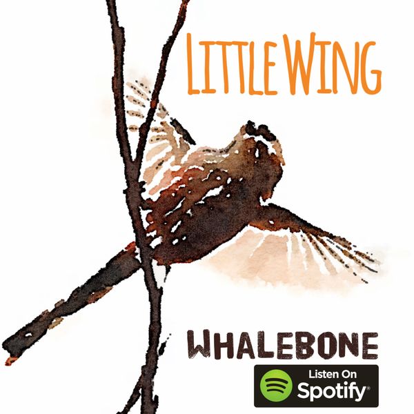 Little Wing - Whalebone - Listen on Spotify
