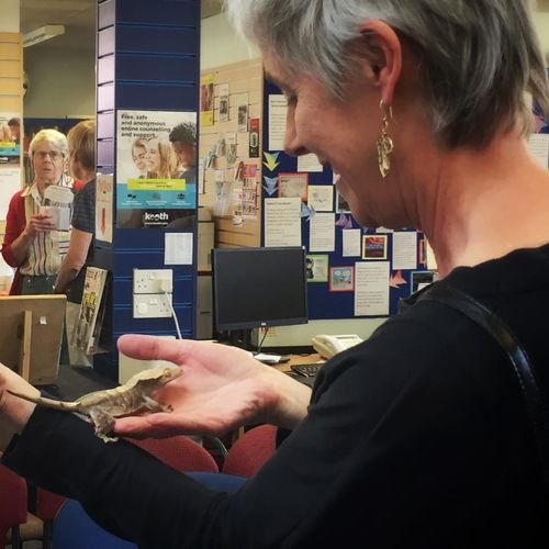 Jean and Echo the Gecko at Market Drayton Library