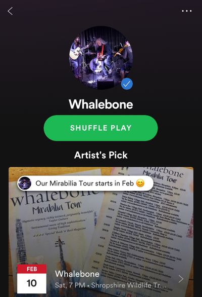 Follow Whalebone on Spotify