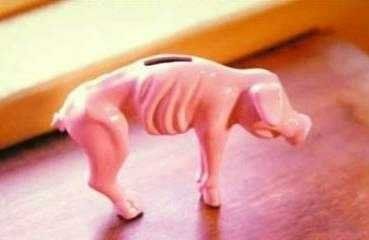 Broke Piggy Bank
