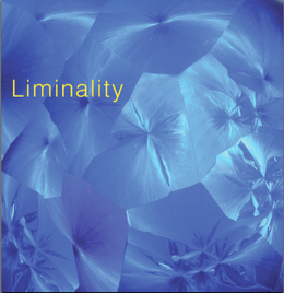 Liminality Cover Photo