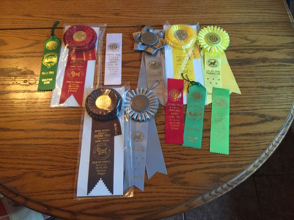 We had a fabulous time at the Columbia River Cairn Terrier Club specialty, Cairn Terrier Club of America Roving nationals, and Portland supported entry. Mimzie got second in her class the roving nationals and fourth in her class at the Portland show. Winnie got a fourth and third in her sweeps classes, third at the roving nationals, and second at the Portland show .Mimzie and Winnie both gave two qualifying rally novice performances - but Mimzie was stripped of one Q due to an unfortunate potty emergency on the way out of the ring.