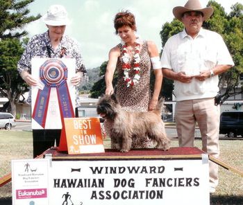 Cash wins his third BIS going back-toback at WHDFA October 3 2010. Handled by breeder/owner/handler Suzee Bidegain... thanks Suzee and we sure had a great vacation together huh! Thanks to judge Mr. Connolly.