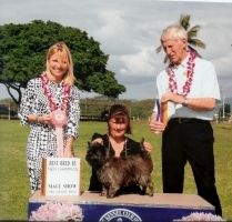 New Champion Nakoa All About Me RN - she also receives a group 3 from judge Joe Tacker and best bred by terrier, and a qualifying score in Rally Excellent. A very special day for our Mona!
