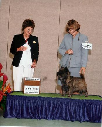 Cheryl Chang showed Rocky in the fall season, acheiving #8 terrier and #1 cairn in Hawaii 2007. Thanks Cheryl!