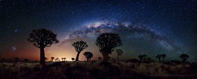 Milky Way Over Quiver Tree Forest by Florian Breuer