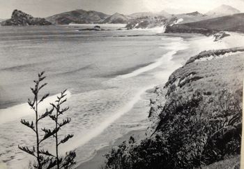 Horahora 1949 Totally barren coastline...and very isolated....east coast Northland...off Whangarei....but also home to an awesome wave....