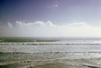 Tatahi club Champs Waipu Cove '66...Looks like a goofy footer on this wave .. must be John Blomfield...a nice looking left....very foggy day!!!..cant see the Hen & Chicks.....very unusual to see fog up here in the North...summer fog is usually associated with cold water & our summer water is very tepid...often around 23-25degrees..