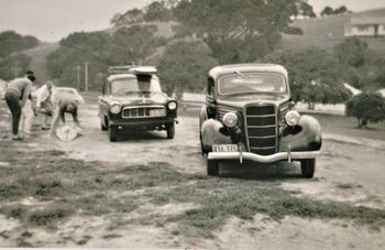 the boys heading home after a nice session at Waipu....1963 Tui's Ford Coupe...Ross and Dons Edges..FE Holden.....check the boards going out thru the back window of Tui's car!!!