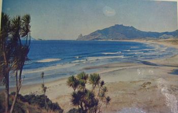 around 1955 somewhere near Ocean Bch!! (1/2 hr from whangarei)... I'me sure thats Mount Mania in the distance...good banks!!...anyone know where this is!...possibly Kauri Mountain