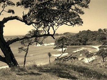 and here's that new spot again that we found around now......Moureeces.....very cool spot in 1965... ....(Moureeces..East coast Northland)