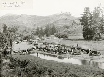 looks like something out of a wild west movie...wagon train..Ha!! ...1924 Getting metal off the river beds for the roads..