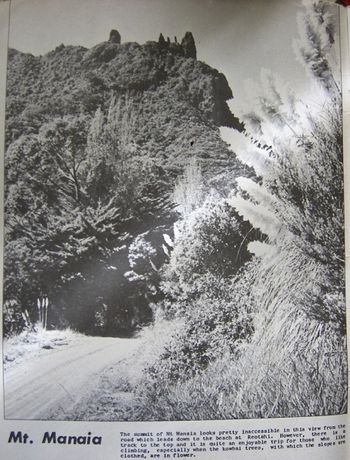 Ocean Bch road 1959 single track metal road..no doubt full of potholes and corrigation ( i know it was in '62) and probably still quite isolated then!!...most beach roads around NZ were like this then....