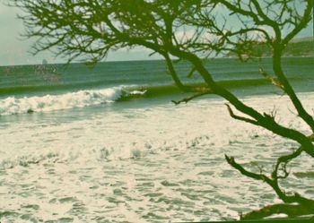 Ding Bay and that cranking left...summer of 1970 so nice when leg ropes and short boards came in...made it so much easier to surf this place.....before leg ropes we were never as adventurous ...cause when you lost your board ..it just got smashed!!!!