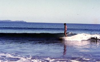 Beautiful shot of Tui gliding across a sweet little Pataua wall..... Summer of '65....magic days 'hotdoggin' the bar...sweeeet!!