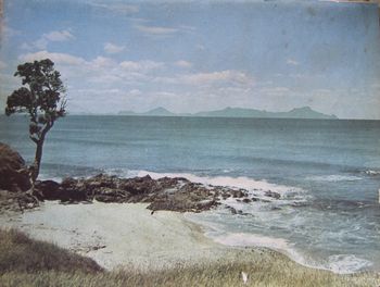 1956 Shelley bch Waipu Cove..Bream Bay Northland.... Imagine how many awesome waves would have pumped into Waipu Cove in the 1950s!!