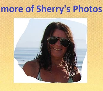 our back-up photographer.... just in case all of Trev's photos are horrible....Haha!!!...just joking Trev..sorry bro...just joking...truly ...just joking....