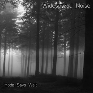 Widespread Noise - Yoda Says Wait