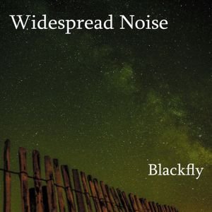 Widespread Noise - Blackfly