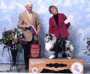 New Champion !!
CH Starlight Semperfi " GIBBS "
Special thanks to Denise Hines for handling Gibbs to his Championship !
