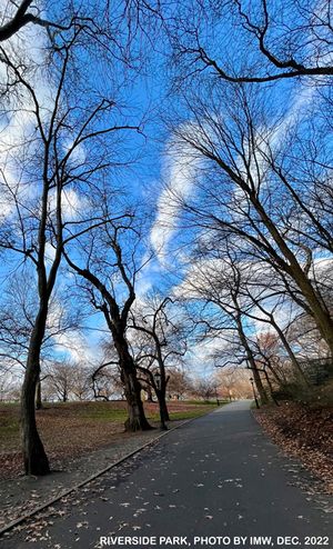 Riverside Park, Dec. 2022, photo by IMW