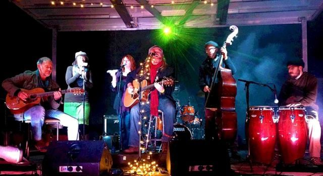 Sean Cotton's Doghouse perform the Local Stage at Muskoka Sound Festival