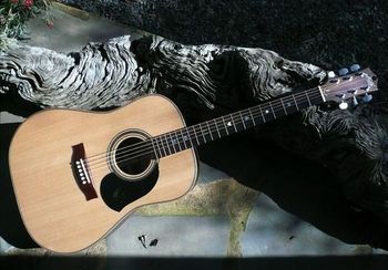THE MATON CUSTOM ACOUSTIC This is where it all began for me...my first guitar was a Maton Acoustic Dreadnought, built in my home town of Melbourne, Aust. That wonderful old instrument has long been retired from active service...currently I'm playing this beauty, built for me by the Maton custom shop, with my style of acoustic blues playing in mind. It has a spruce face and carved Indian rosewood back, which gives it a great gutsy tone.