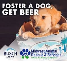 Busch's Foster a Dog Program