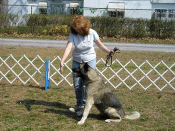 Step 3: Keeping a tight hold of dog with left hand, use the right hand, palm facing dog and say "STAY"