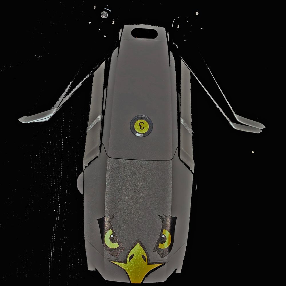 Biggs-drone-dji-mavic-2-pro