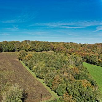 Over the woods, East Sussex, England